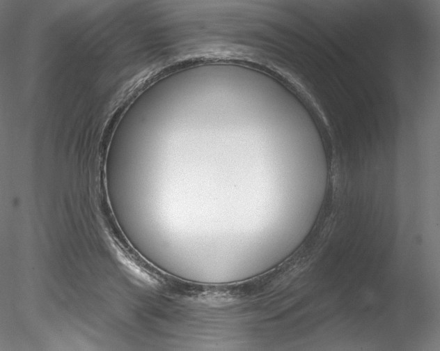 X0000078230445200611030857