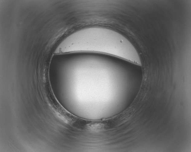 X0000078230452200611030858
