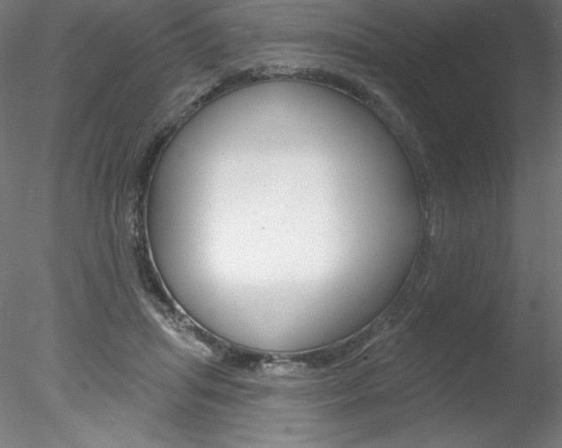 X0000078230455200611030858