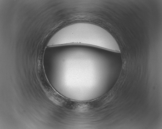 X0000078230456200611030858