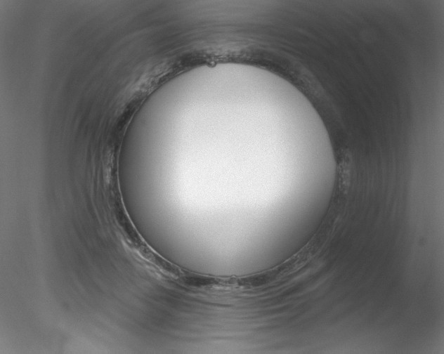 X0000078230458200611030858