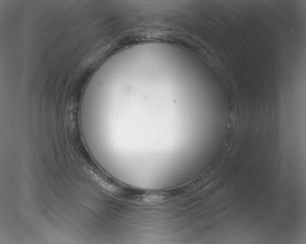 X0000078230462200611030858
