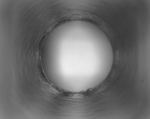 X0000078230463200611030858