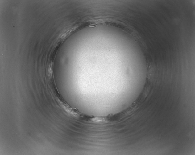 X0000078230477200611030858