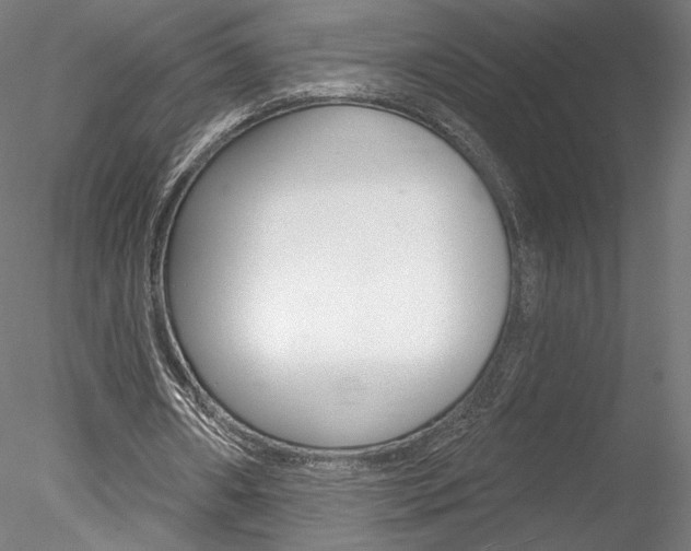 X0000078230482200611030857
