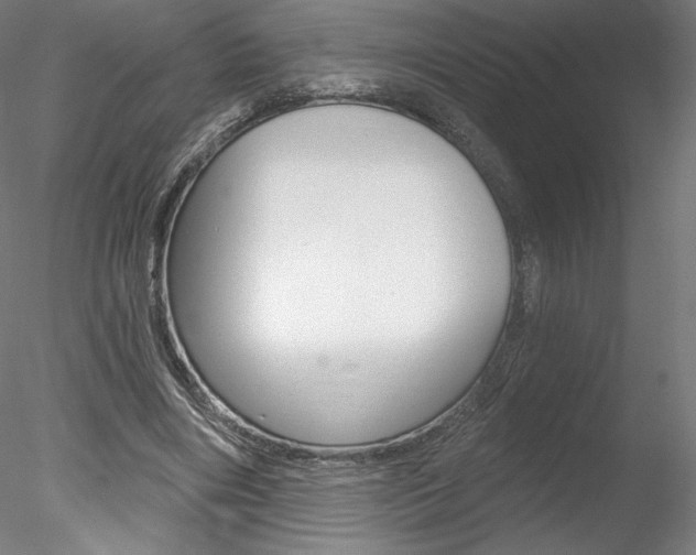 X0000078230490200611030857