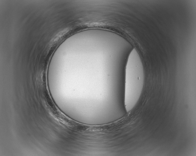 X0000078230491200611030857