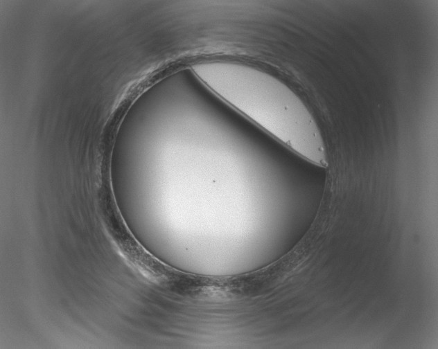 X0000078230496200611030857