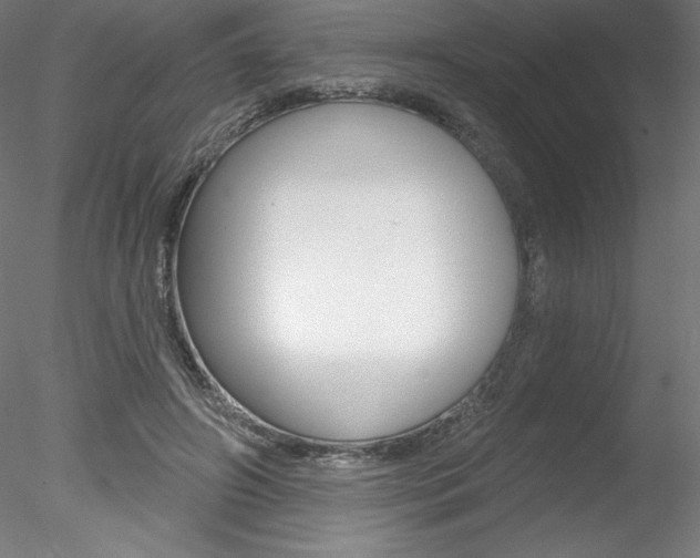 X0000078230498200611030857