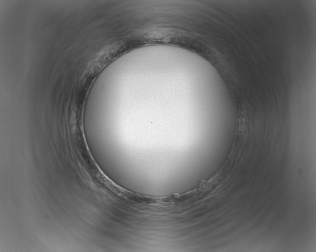 X0000078230504200611030857