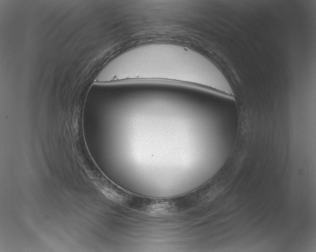 X0000078230505200611030857