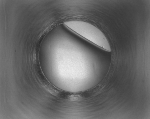 X0000078230508200611030857