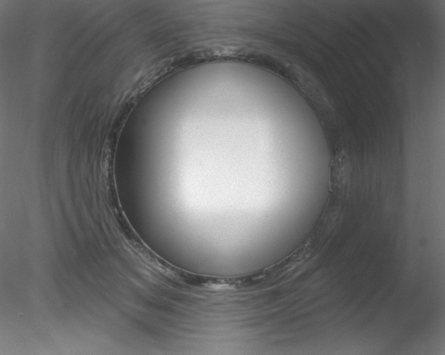 X0000078230509200611030857