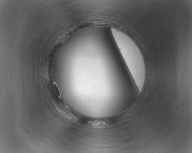 X0000078230512200611030857