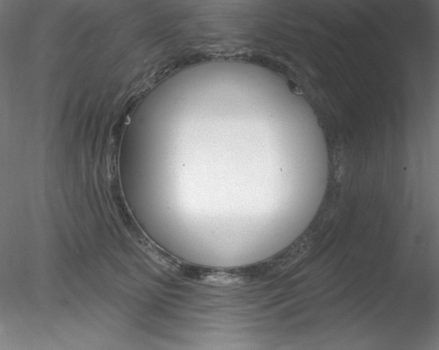 X0000078230515200611030857