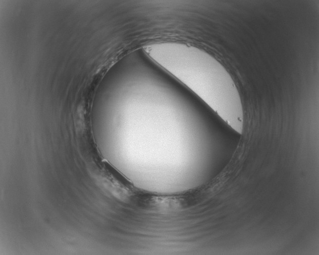 X0000078230520200611030857