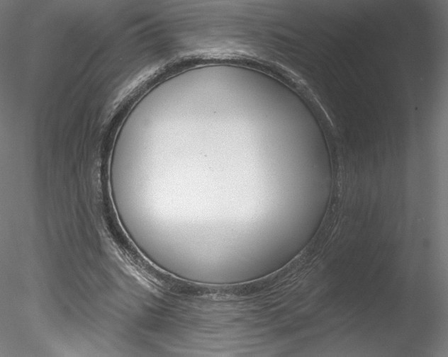 X0000078230535200611030856