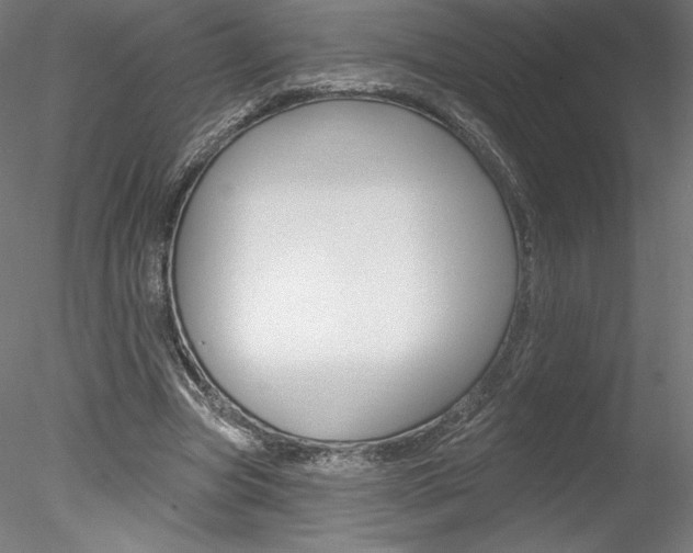X0000078230537200611030856