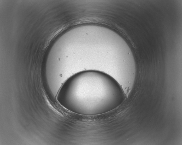 X0000078230538200611030856