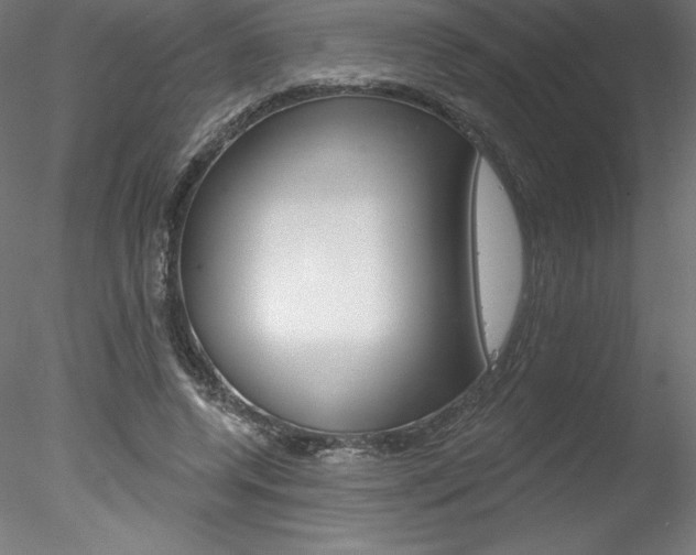 X0000078230544200611030856