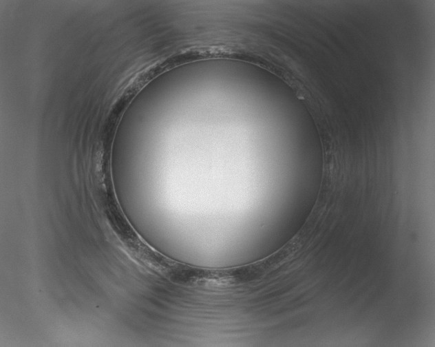 X0000078230548200611030856