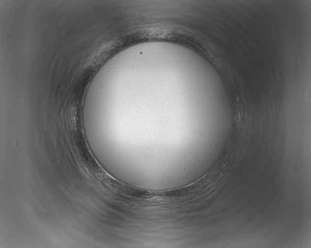 X0000078230551200611030856