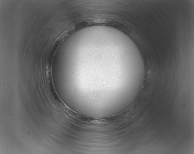 X0000078230555200611030856