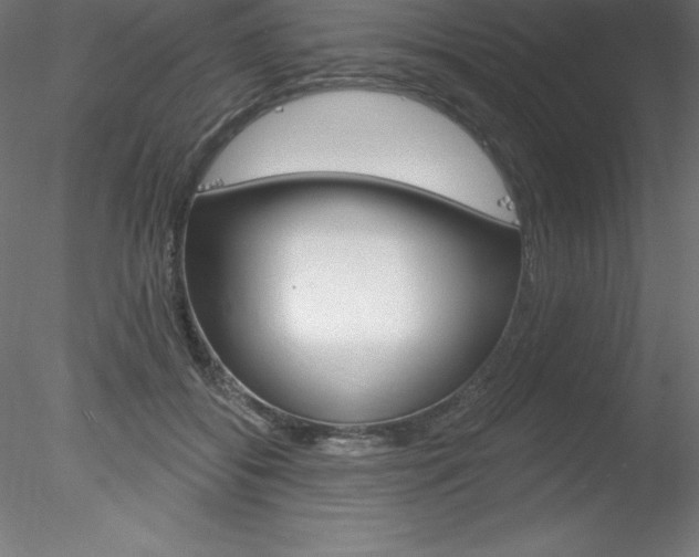 X0000078230556200611030856