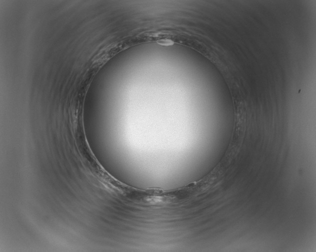 X0000078230558200611030856
