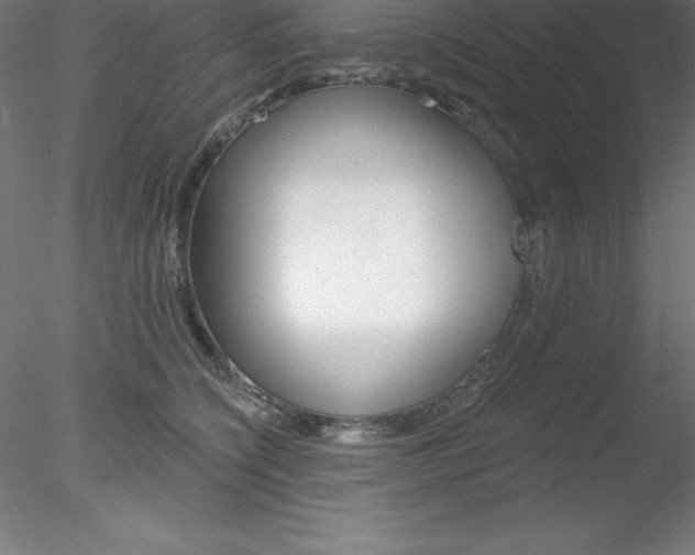X0000078230564200611030856