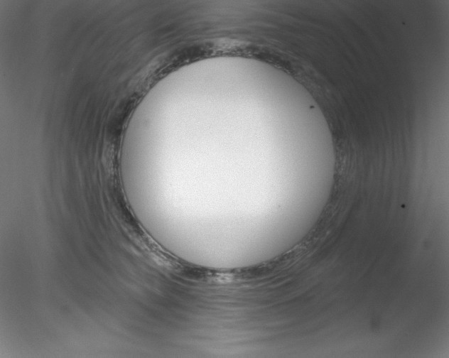 X0000078230565200611030856