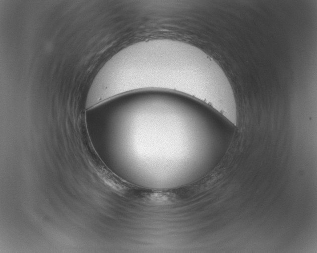 X0000078230566200611030856