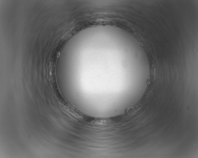 X0000078230567200611030856