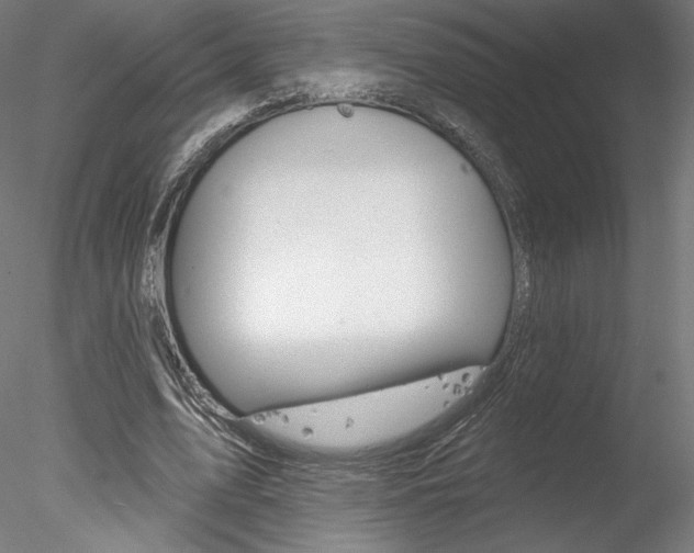 X0000078230583200611030855