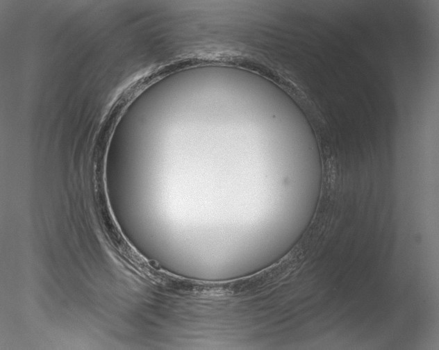X0000078230587200611030855
