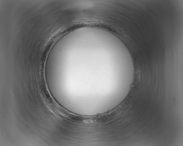 X0000078230591200611030855