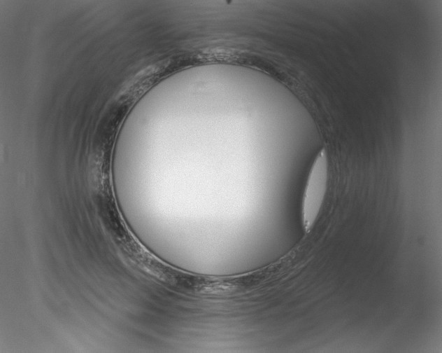 X0000078230599200611030855
