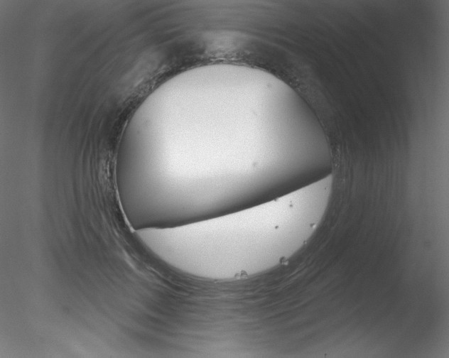 X0000078230603200611030855