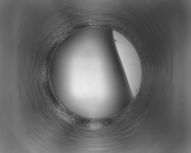 X0000078230604200611030855