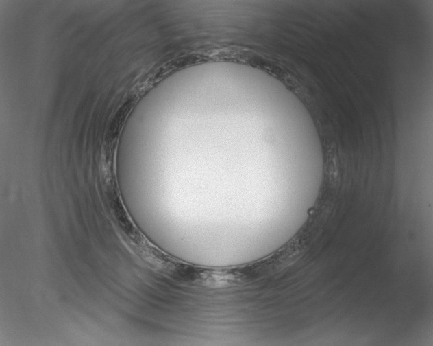 X0000078230607200611030855