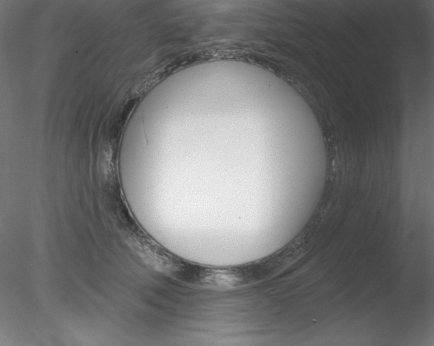 X0000078230610200611030855
