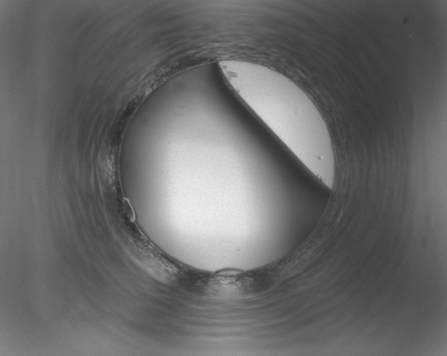 X0000078230613200611030855