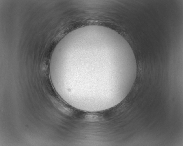 X0000078230614200611030855