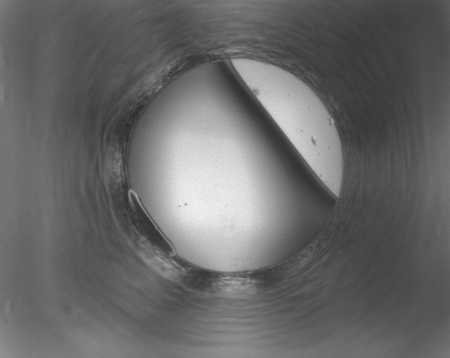 X0000078230617200611030855