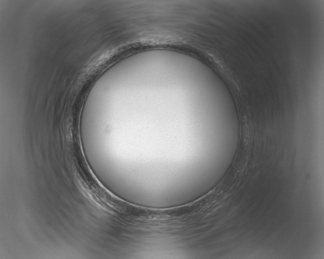 X0000078230631200611030854