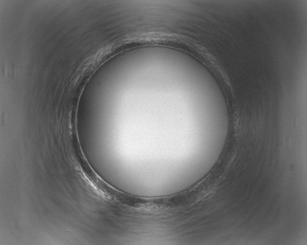 X0000078230633200611030854