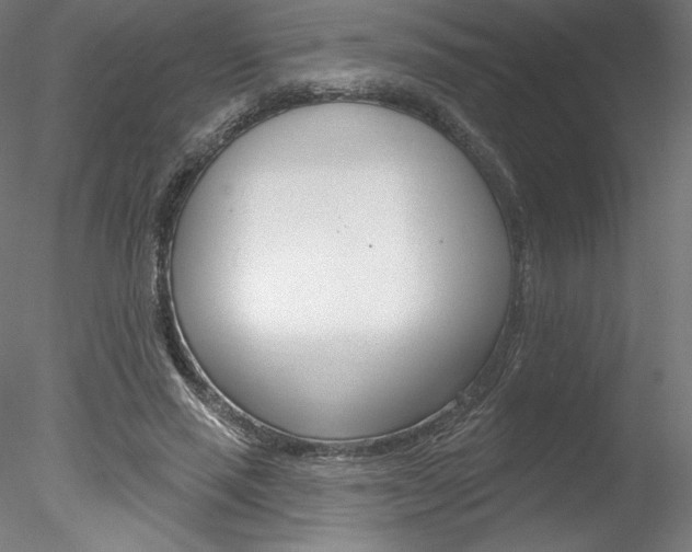 X0000078230637200611030854