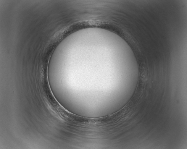 X0000078230639200611030854