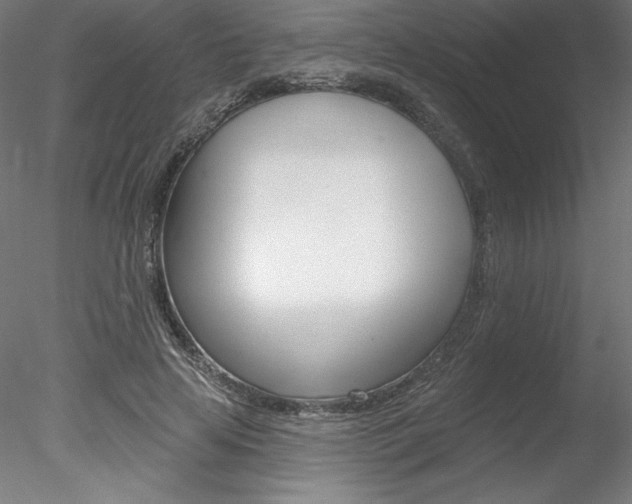 X0000078230641200611030854