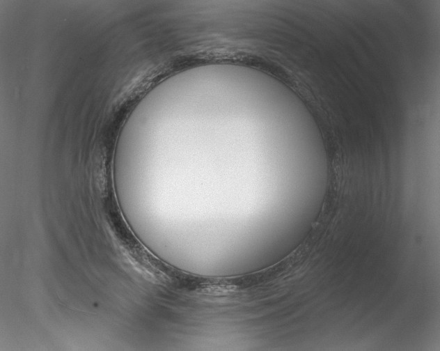 X0000078230642200611030854